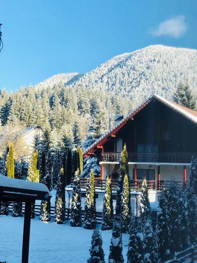 Maya Luxury Residence Poiana Brasov Buitenkant foto