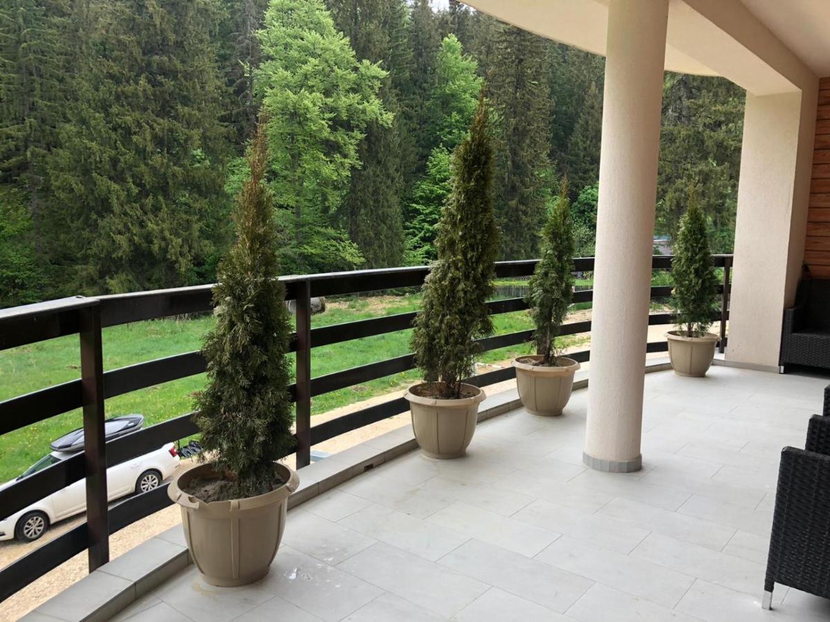 Maya Luxury Residence Poiana Brasov Buitenkant foto