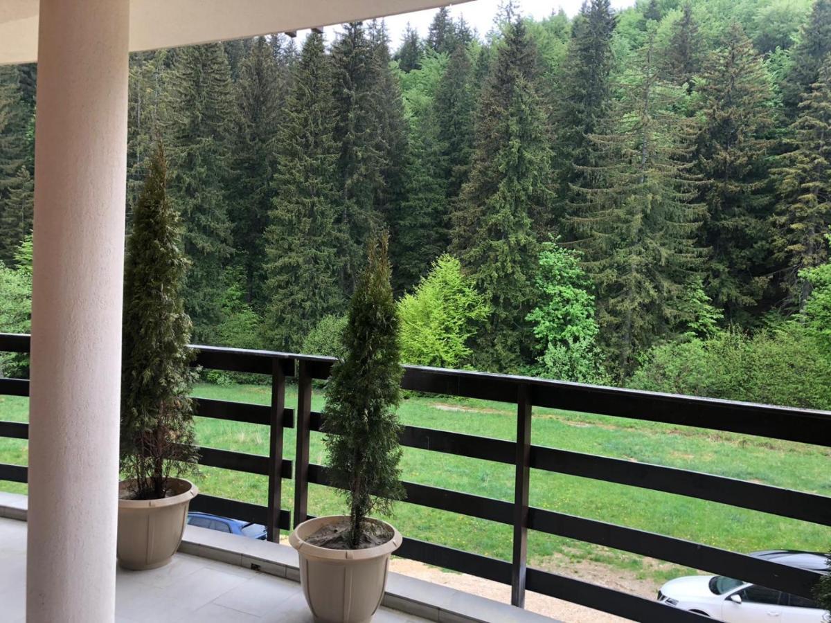 Maya Luxury Residence Poiana Brasov Buitenkant foto