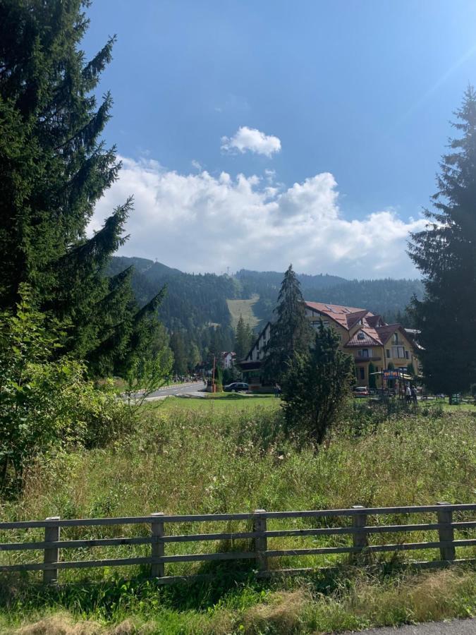 Maya Luxury Residence Poiana Brasov Buitenkant foto